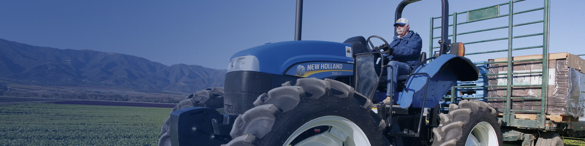 NH_Website_Desktop_Banner_TS6.jpg