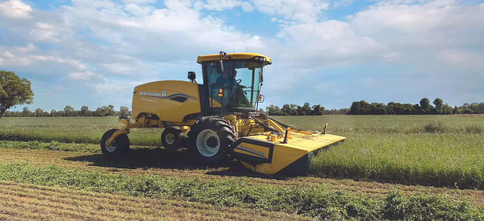 Speedrower® PLUS Self-Propelled Windrower in the field