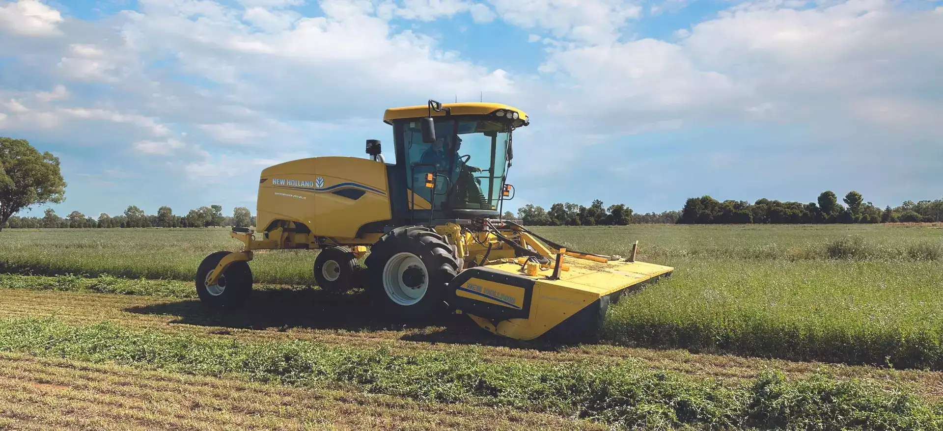 Speedrower® PLUS Self-Propelled Windrower in the field