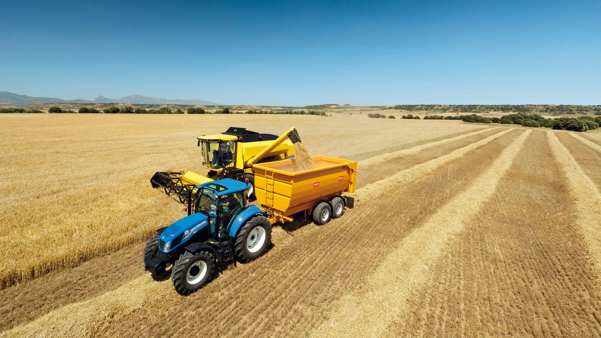 New Holland Combine Harvester TC in action, efficiently harvesting with agricultural combine header