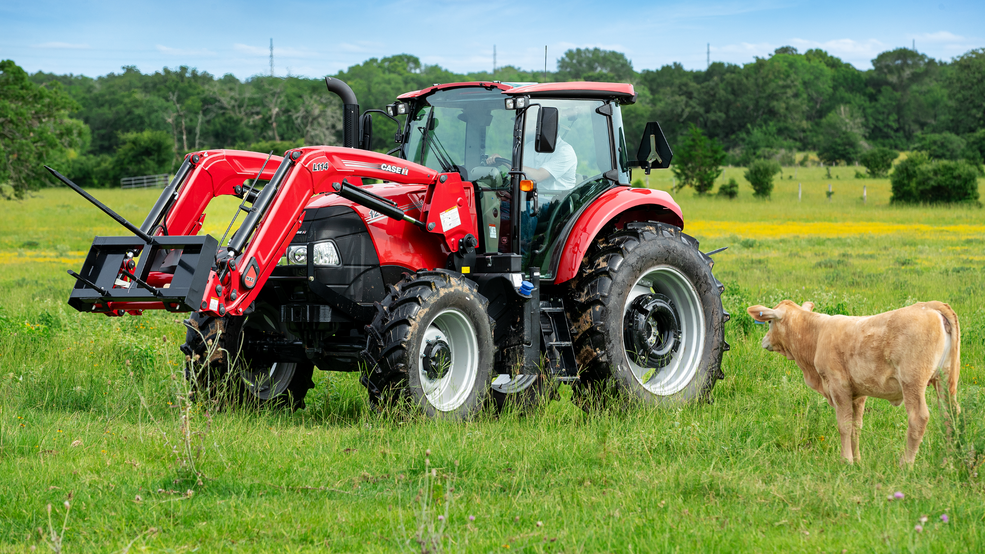 A Case IH tractor is parked in a lush green field with wildflowers. A tan calf stands nearby. 