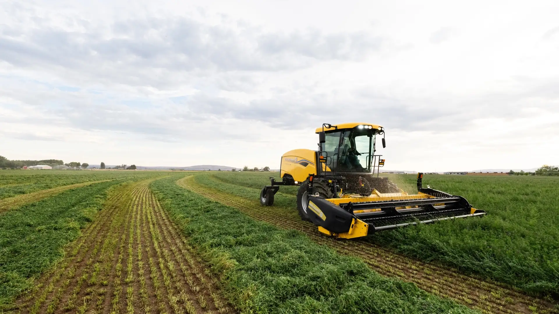 Windrower cuts down grass in a field.