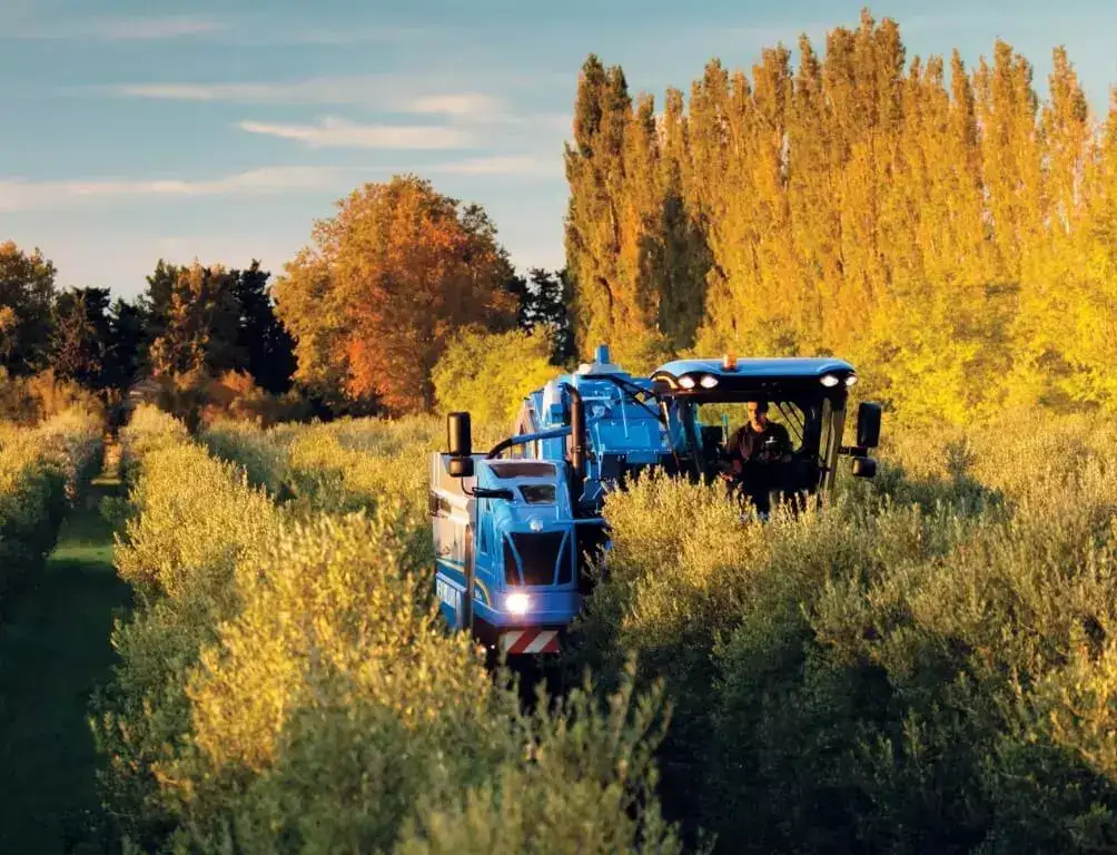 【新品未使用】24KARATS × JSB LAND ELLY 受注品 XL Braud 9090X Olive Harvester | New Holland