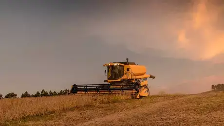 colheitadeiras new holland modelo tx em campo visão em aclive ao fim do dia