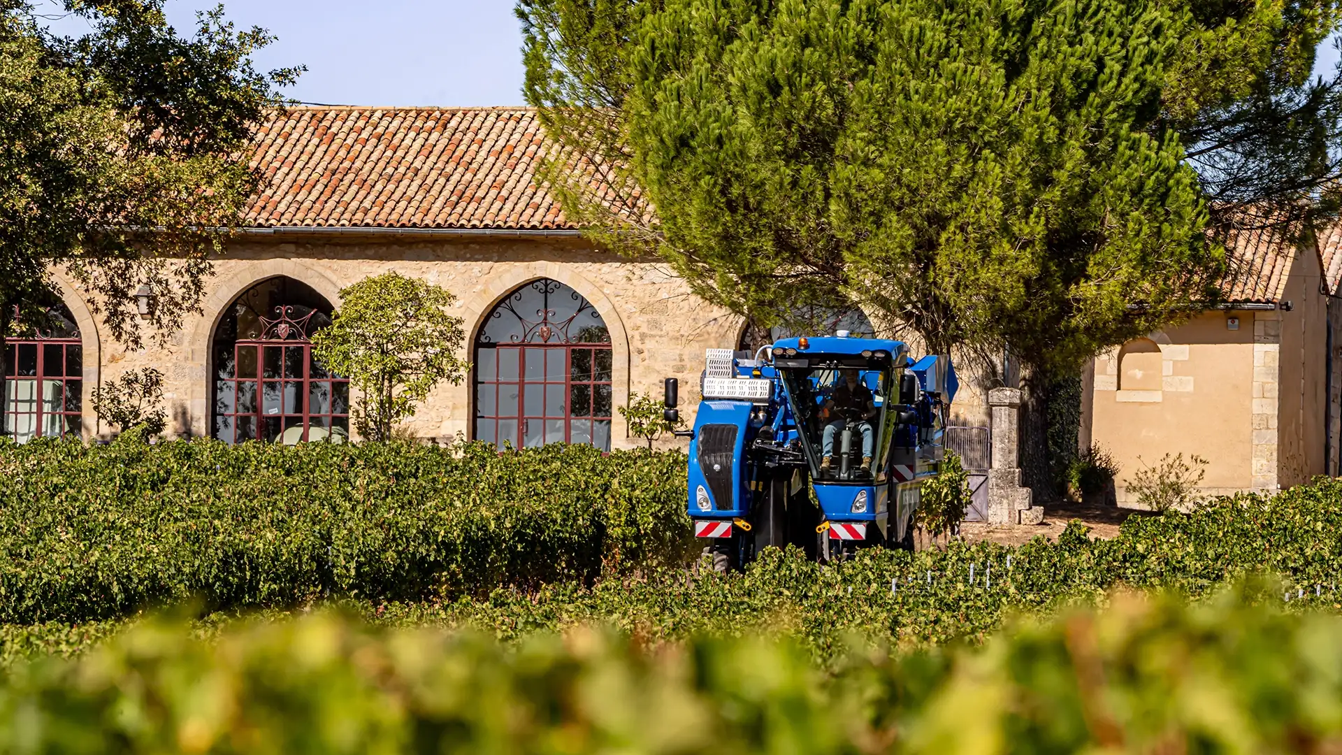 Grape Harvester Automation & Sensing