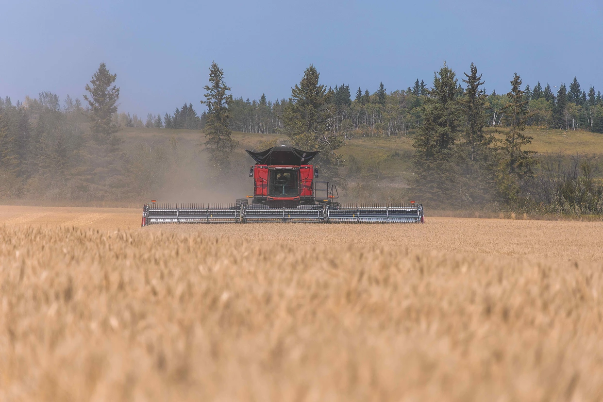 AF11 combine with FD250 draper head