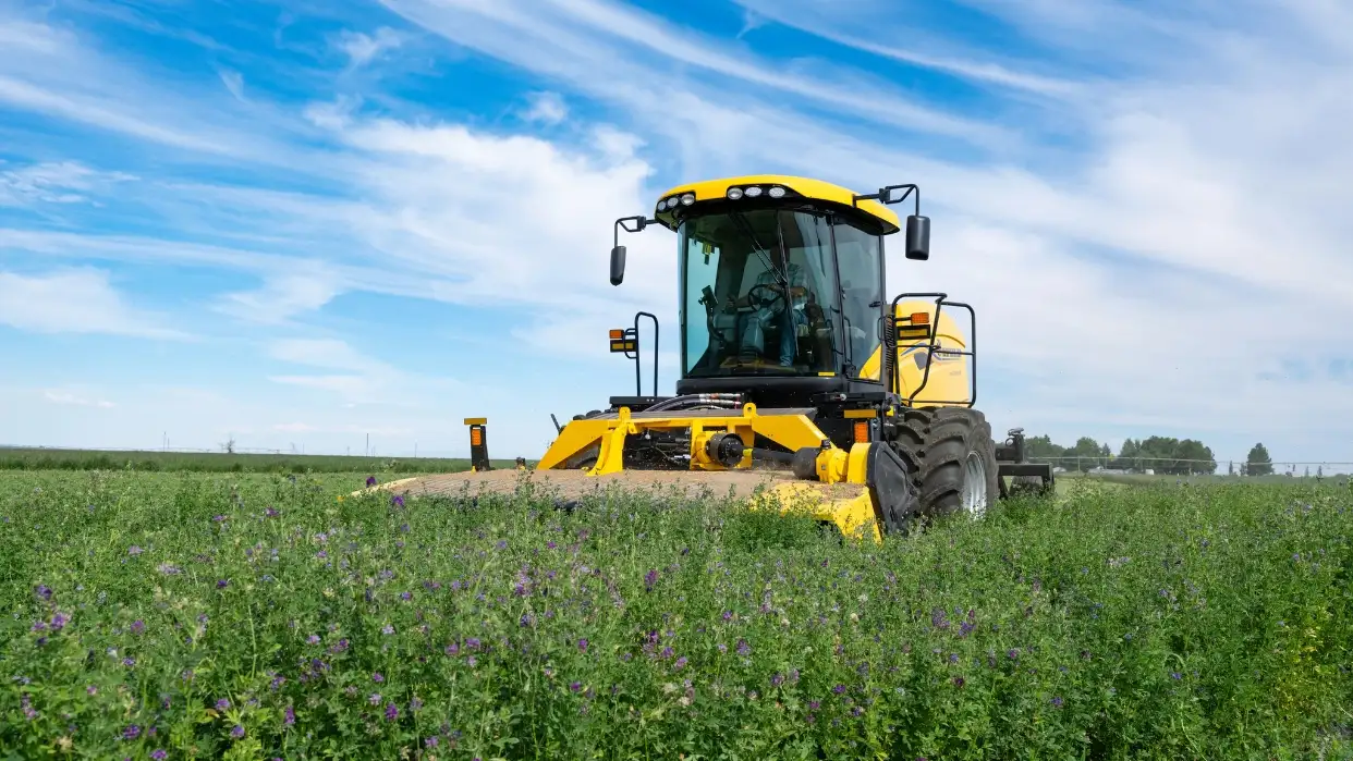 Windrower in a field behind wildflowers.