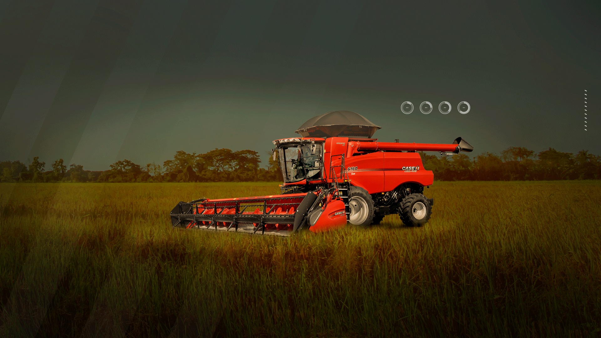 Arrozeira-em-campo-aberto-DESKTOP.png