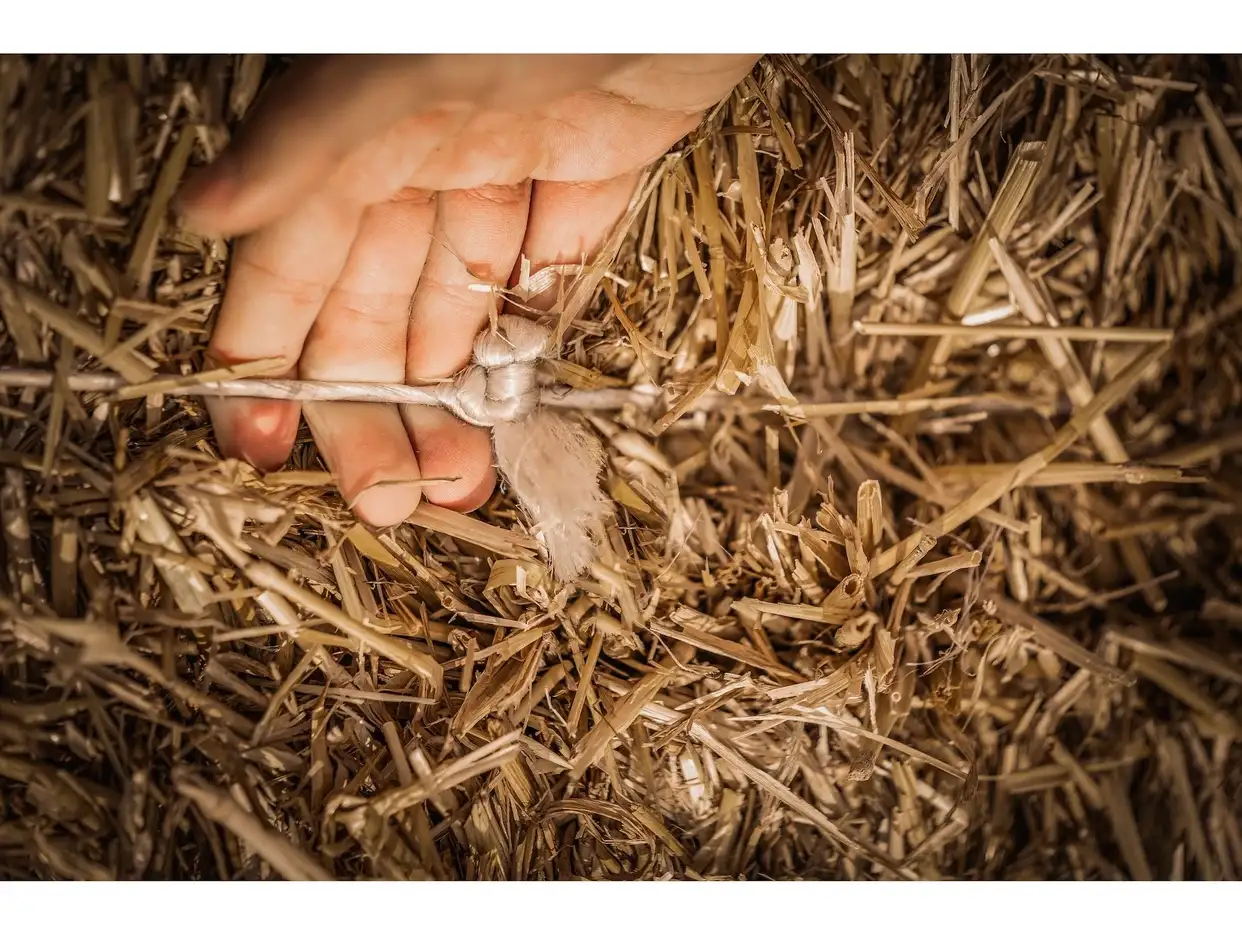 Close-up of a hand checking the twine knot on a straw bale