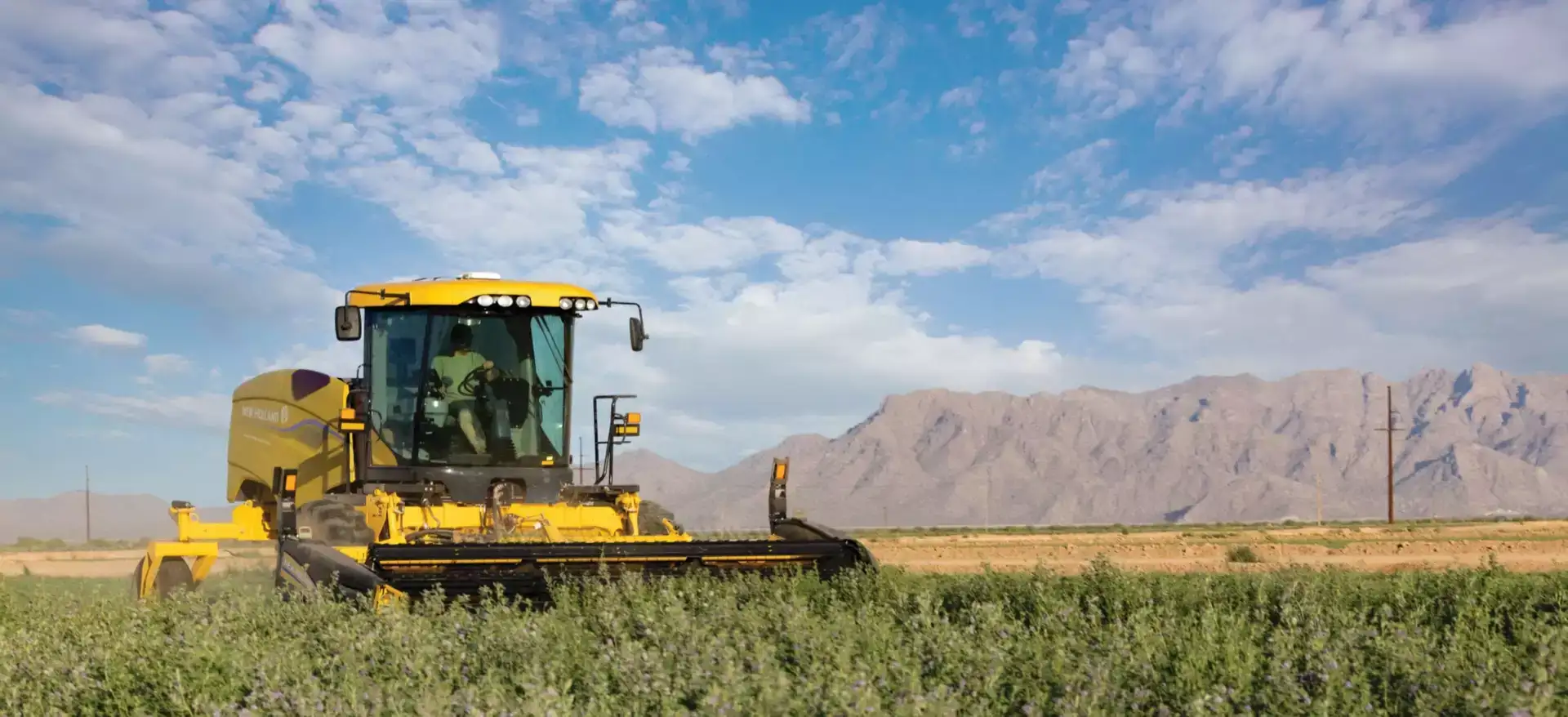 Speedrower® PLUS Self-Propelled Windrower with a windrower header