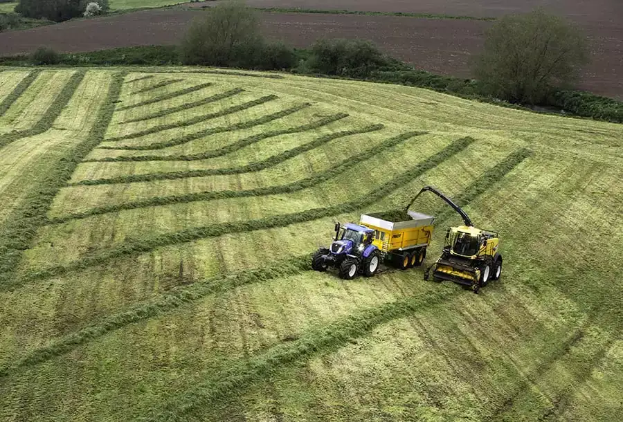 fr-forage-cruiser-gallery-07