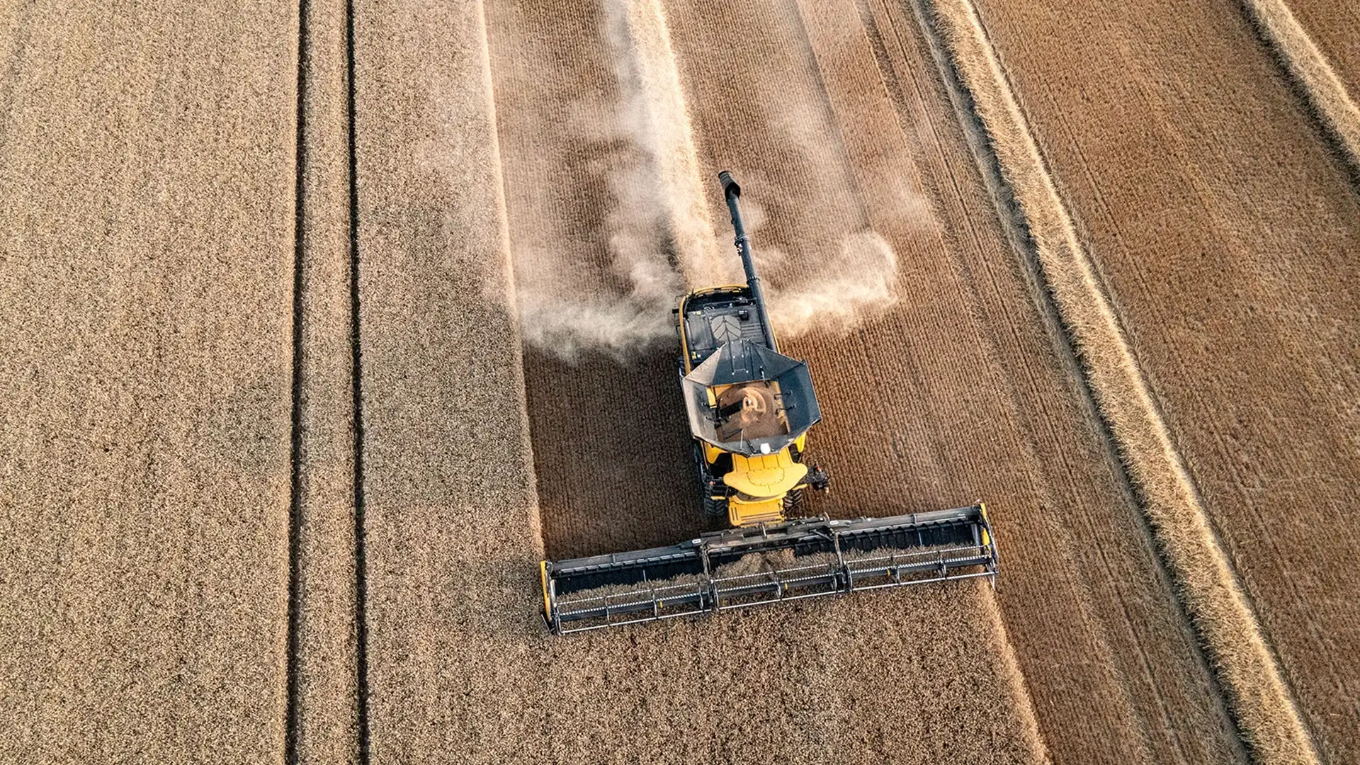 CR11