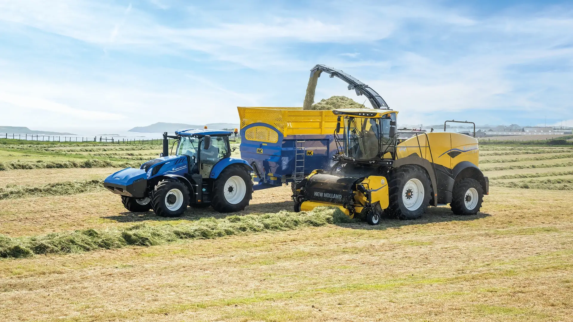 Forager Automation & Sensing