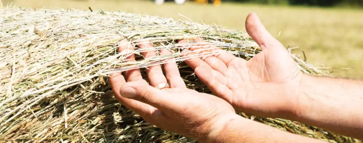 Pro-Belt™ Round Balers - NET WRAP SYSTEM