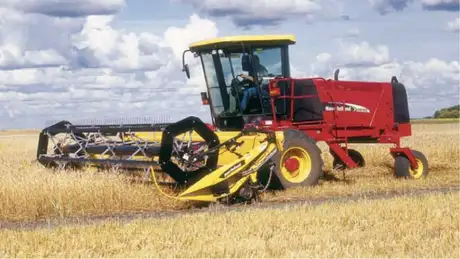 Speedrower cutting hay in a field.