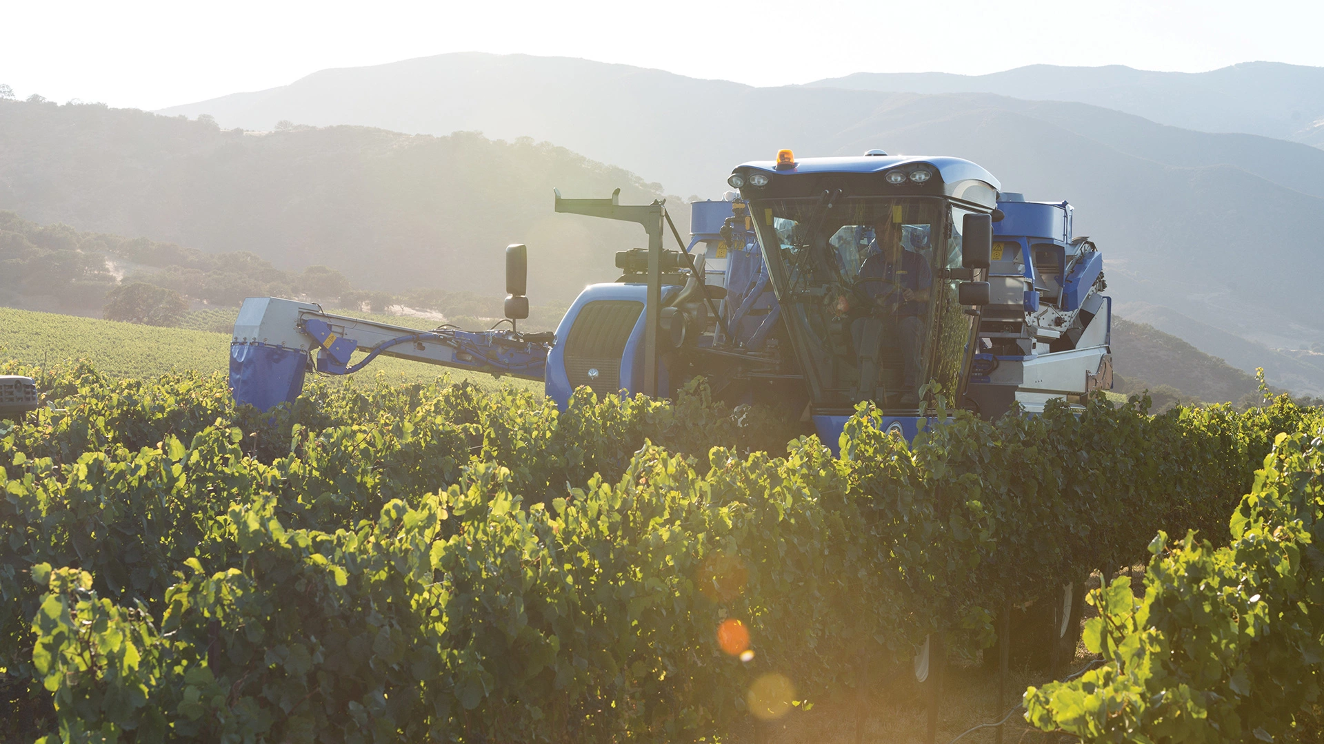 Braud 9090X Grape Harvesting Machine on the vineyard