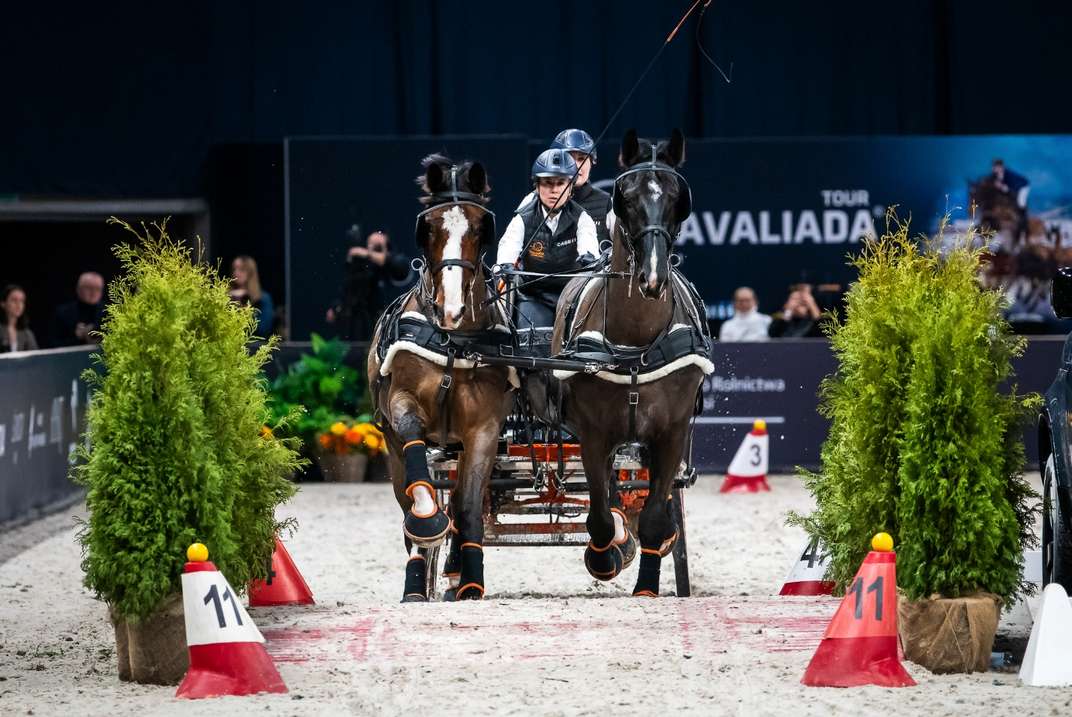 sportowe emecje_horse_01.jpg