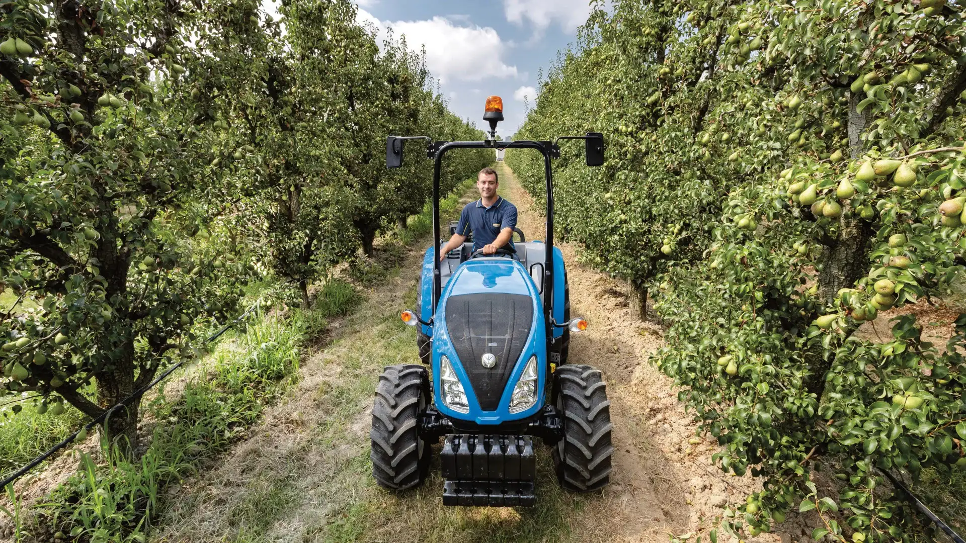 Man operates T3F Compact Specialty tractor in an orchard