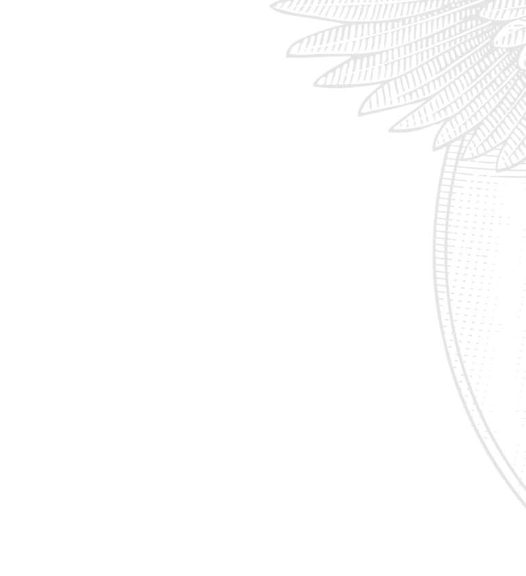 CASE DV210CD Combination Roller | CASE Construction Equipment thumbnail 4